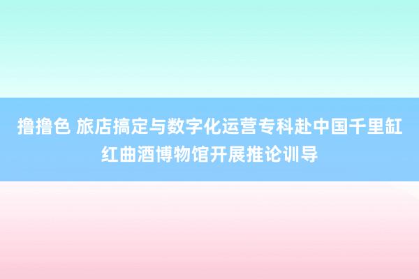 撸撸色 旅店搞定与数字化运营专科赴中国千里缸红曲酒博物馆开展推论训导