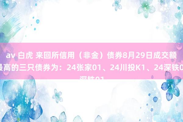 av 白虎 来回所信用（非金）债券8月29日成交额最高的三只债券为：24张家01、24川投K1、24深铁01