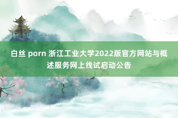 白丝 porn 浙江工业大学2022版官方网站与概述服务网上线试启动公告