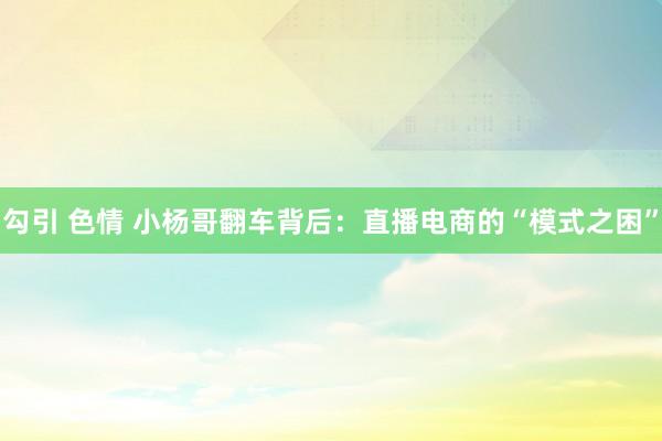 勾引 色情 小杨哥翻车背后：直播电商的“模式之困”