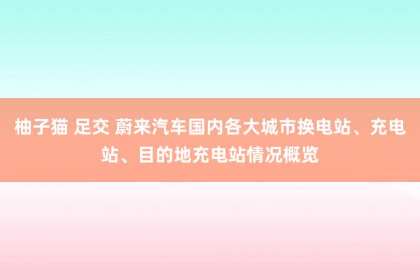 柚子猫 足交 蔚来汽车国内各大城市换电站、充电站、目的地充电站情况概览