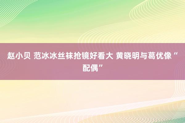 赵小贝 范冰冰丝袜抢镜好看大 黄晓明与葛优像“配偶”