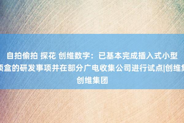 自拍偷拍 探花 创维数字：已基本完成插入式小型机顶盒的研发事项并在部分广电收集公司进行试点|创维集团