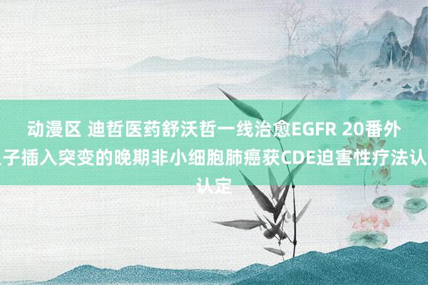 动漫区 迪哲医药舒沃哲一线治愈EGFR 20番外显子插入突变的晚期非小细胞肺癌获CDE迫害性疗法认定