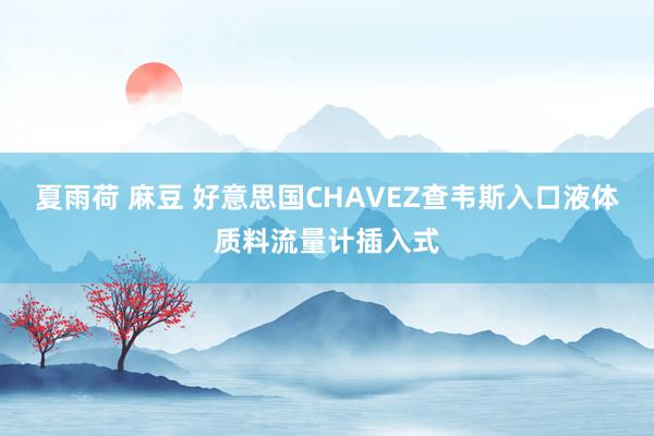 夏雨荷 麻豆 好意思国CHAVEZ查韦斯入口液体质料流量计插入式