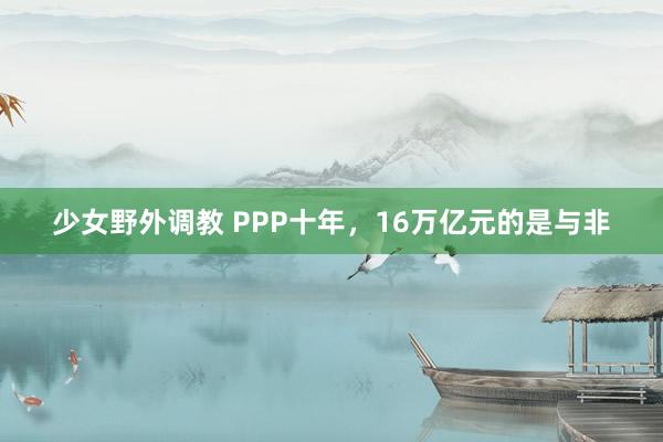 少女野外调教 PPP十年，16万亿元的是与非