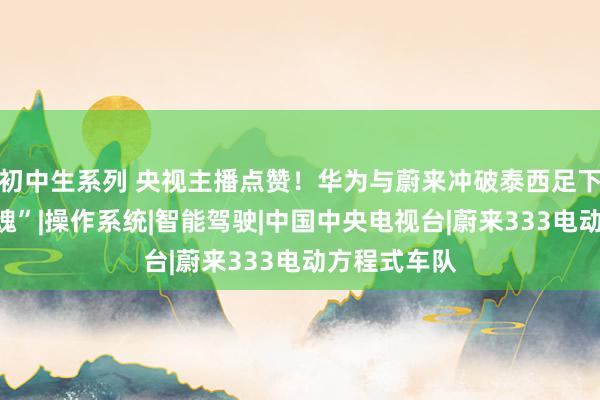 初中生系列 央视主播点赞！华为与蔚来冲破泰西足下，铸就“芯魂”|操作系统|智能驾驶|中国中央电视台|蔚来333电动方程式车队