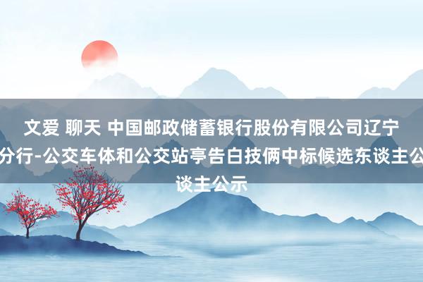 文爱 聊天 中国邮政储蓄银行股份有限公司辽宁省分行-公交车体和公交站亭告白技俩中标候选东谈主公示