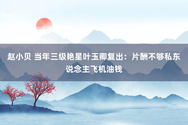 赵小贝 当年三级艳星叶玉卿复出：片酬不够私东说念主飞机油钱