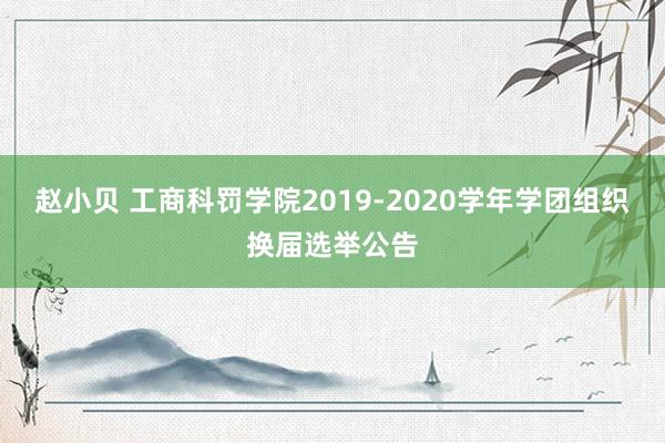 赵小贝 工商科罚学院2019-2020学年学团组织换届选举公告