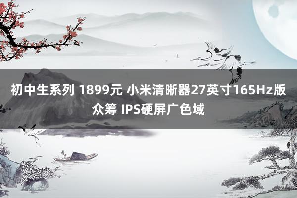 初中生系列 1899元 小米清晰器27英寸165Hz版众筹 IPS硬屏广色域